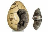 Bargain, Polished Dragon Egg Puzzle Geode - Black Crystals #191441-2